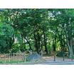 公園