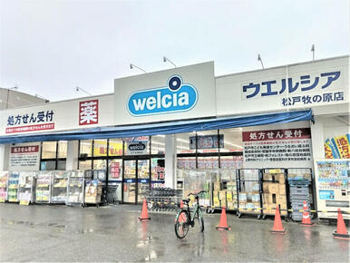 ウエルシア松戸牧の原店