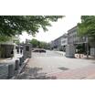 大学