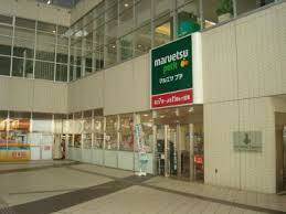 マルエツプチ東池袋駅前店