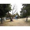 公園