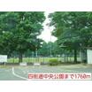 公園