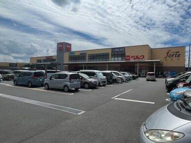 フォルテ秦野店(カインズ・ベルク・クリエイトSD)