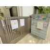 幼稚園、保育園