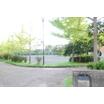 公園