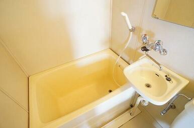 ※前回募集時写真