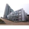 大学