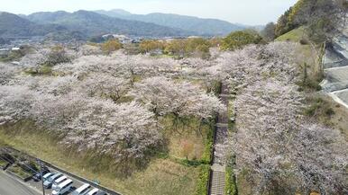 向山公園