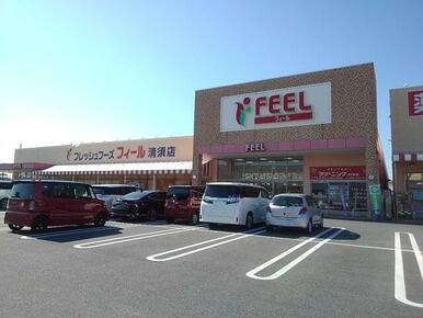 フィール