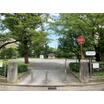 公園