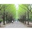 公園