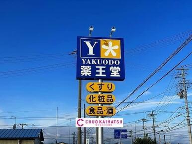 薬王堂北上黒沢尻店