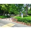 公園