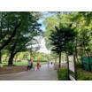 公園