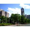 大学