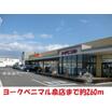 販売店