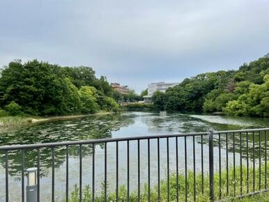 阪大校舎までの通学路横に中山池があります。