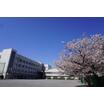 小学校