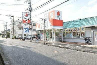 ドラッグストアセキ赤山町店