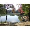 公園