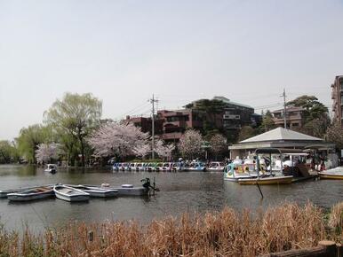 石神井公園