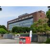大学