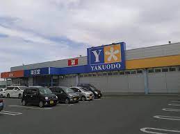 薬王堂気仙沼田中前店