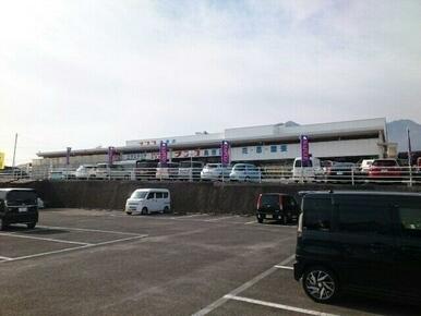 ホームプラザナフコ島原店