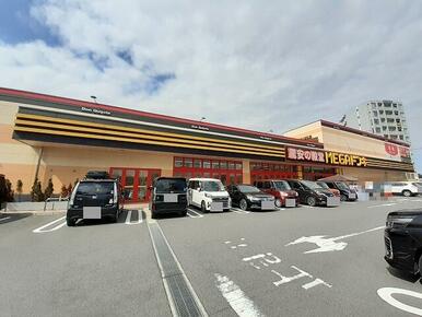 ＭＥＧＡドンキ