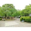 公園