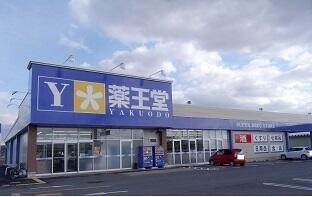 薬王堂石鳥谷店