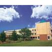 大学