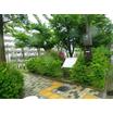 公園