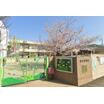 幼稚園、保育園