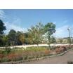 公園