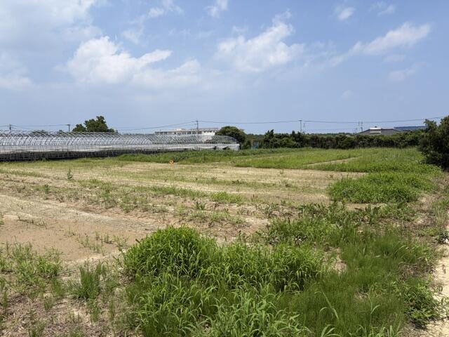 物件画像 福岡市西区 今津 (今宿駅) 畑・農地用地