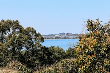青い海と空が広がる開放的な眺望。遠くに見える街並みが、穏やかな水面に彩りを添えます。自然と都市が調和