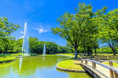 東京都立代々木公園