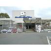 ショッピング施設