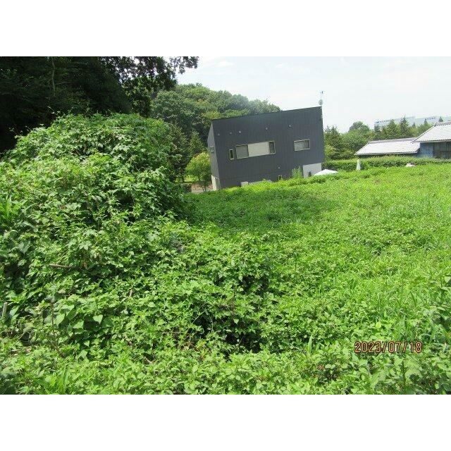 東側より（2023年7月撮影）