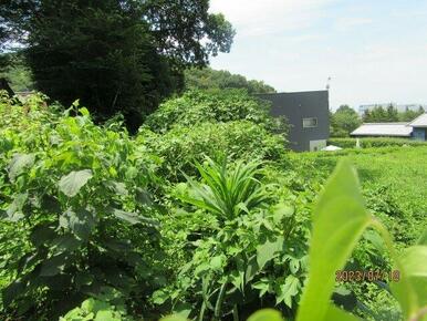 東側より（2023年7月撮影）