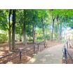 公園
