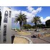 公園