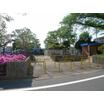 公園