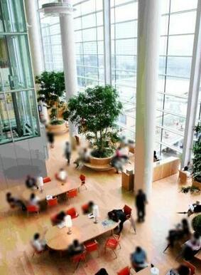 川口市立中央図書館
