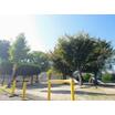 公園