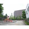 公園