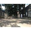 公園