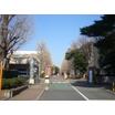 大学