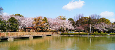 三崎水辺公園